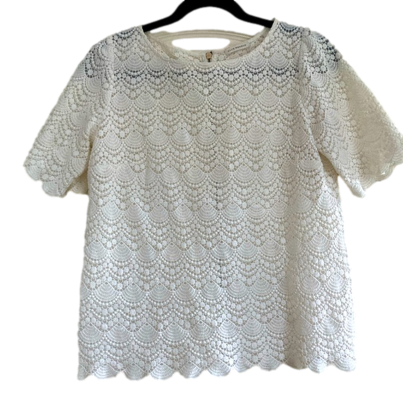 Club Monaco Tops - CLUB MONACO cream sheer lace scalloped hem back zip blouse. Size M